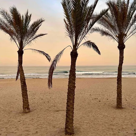 Front Line With Sea View Apartment